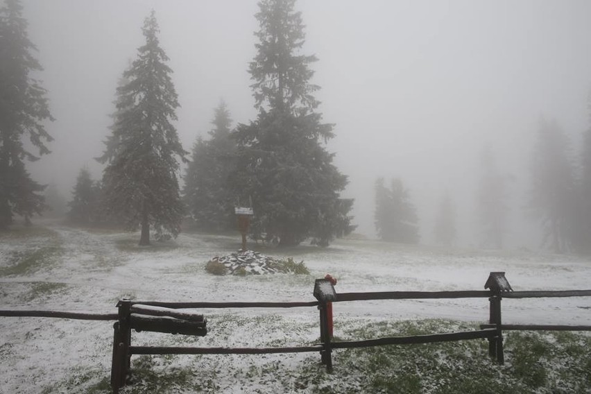 Pierwszy śnieg w Beskidach w tym roku spadł wyjątkowo szybko