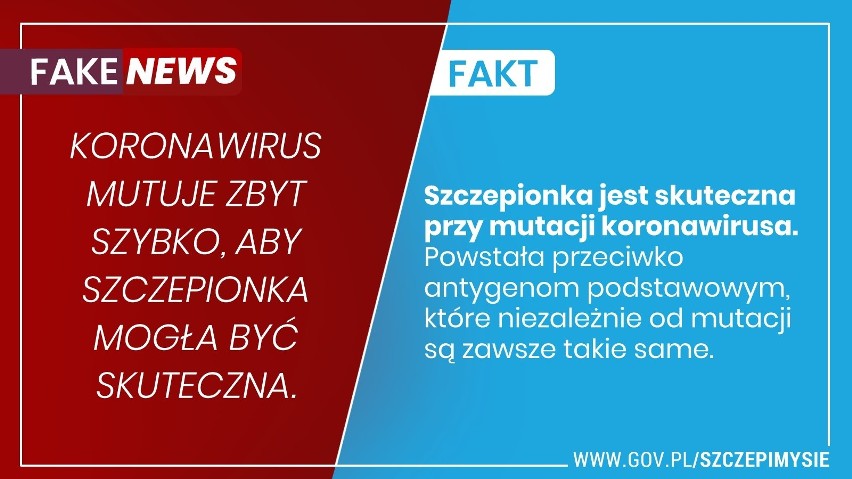 Szczepionki przeciw COVID-19. Trwa akcja "Szczepimy Się"....