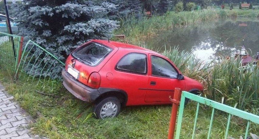 Kierowca w Michorzewie o mało nie wjechał do stawu