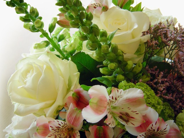 Kwiaty cięte lub doniczkowe będą doskonałym dodatkiem do prezentu, jak i prezentem samym w sobie!