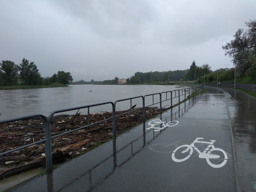 Tak w środę po południu wygladał Wisłok w Rzeszowie.