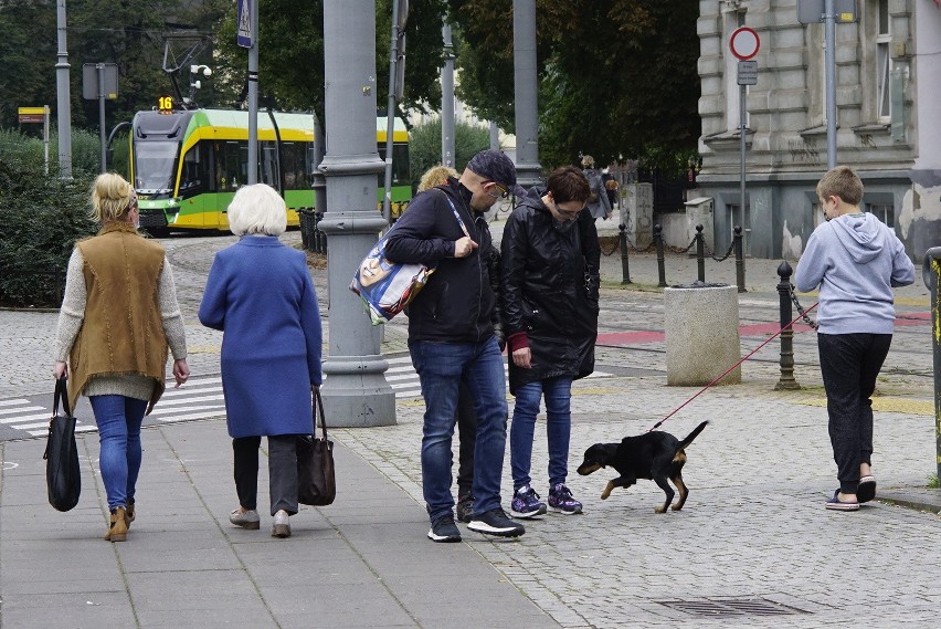 Od soboty w Poznaniu obowiązuje noszenie maseczek w...