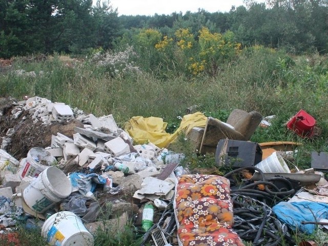 Na dzikich wysypiskach można znaleźć butelki plastikowe, szkło, stare opony, gruz, pustaki, stare meble, pudła kartonowe i ubrania.