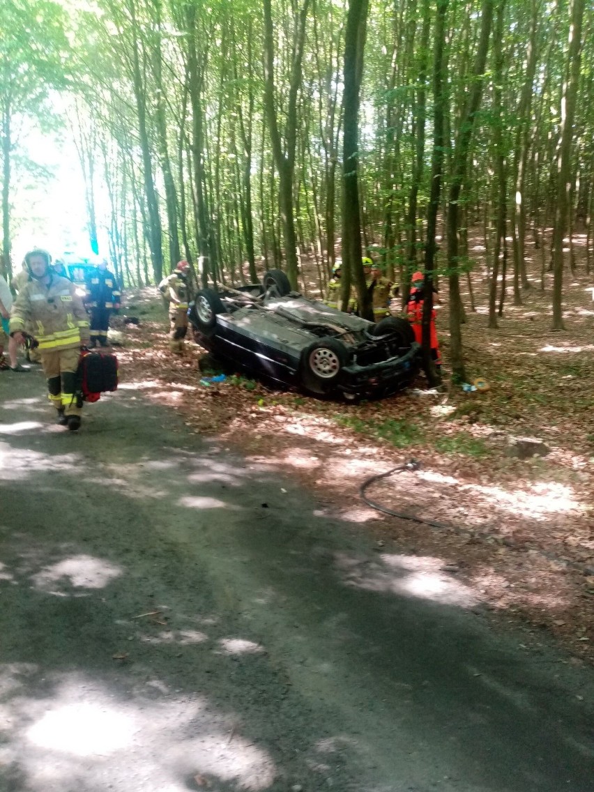 We wtorek rano, na polnej drodze, między wioskami Dargocice...