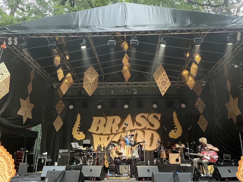 Brasswood Festiwal. Wyjątkowa impreza dla fanów dobrej muzyki i pięknej przyrody. Sprawdź, co się działo! [ZDJĘCIA, WIDEO]