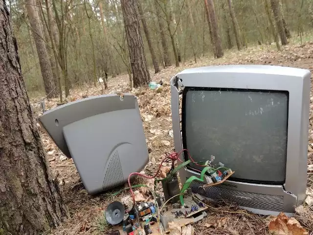 Ktoś zostawił w lesie telewizor