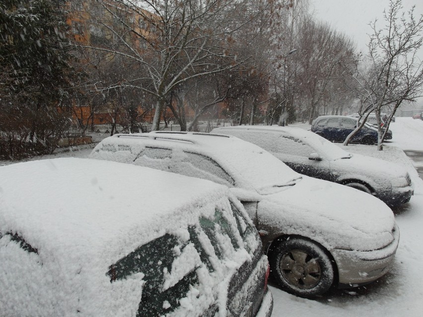 Kiedy spadnie pierwszy śnieg?