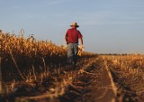 Emerytura rolnicza bez senackich poprawek, nowelizacja ustawy czeka na podpis prezydenta. Jakie będą ułatwienia dla rolników?