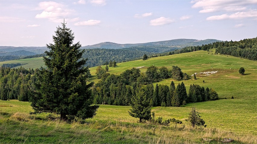 Najlepsze schroniska górskie w Beskidach. Oto TOP 10...