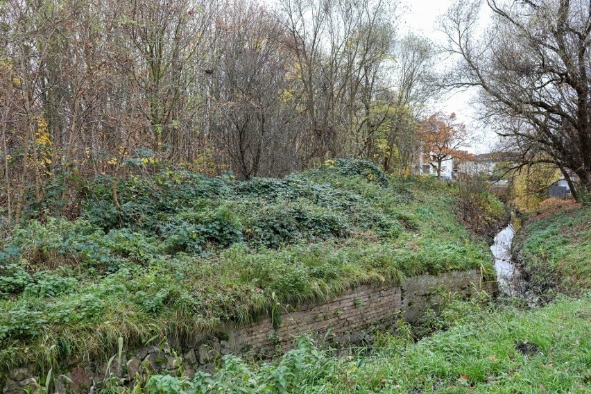 Nie będzie przedszkola na ulicy Przygodnej. Miasto odstąpiło od inwestycji 