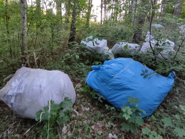 W lesie, w pobliżu m. Skoki, ktoś wyrzucił śmieci.