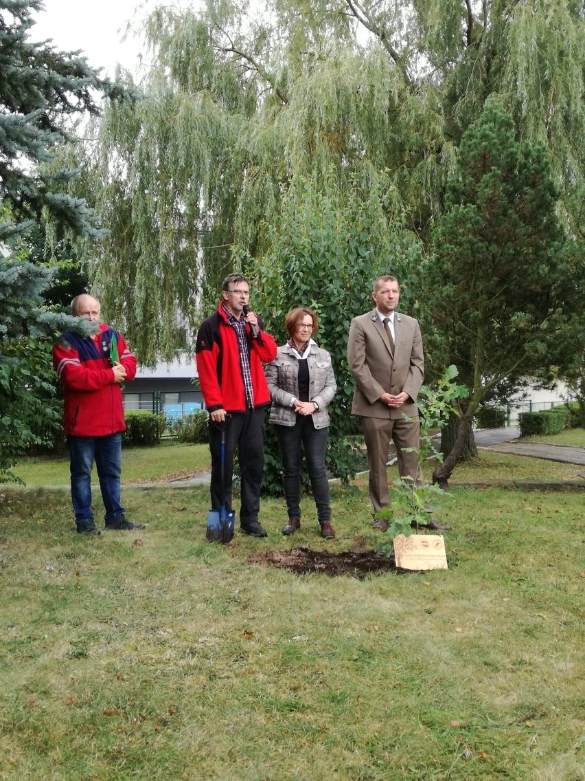 Zasadzili Drzewa Dziedzictwa Polskiego Towarzystwa Turystyczno-Krajoznawczego [ZDJĘCIA]