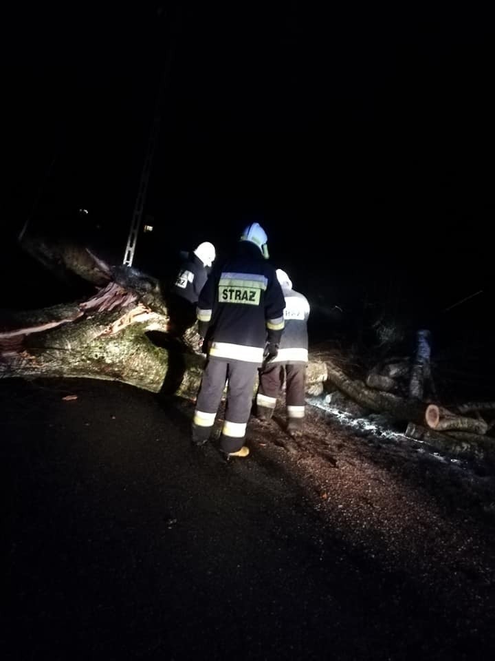 8 interwencji związanych z silnymi porywami wiatru jakie...