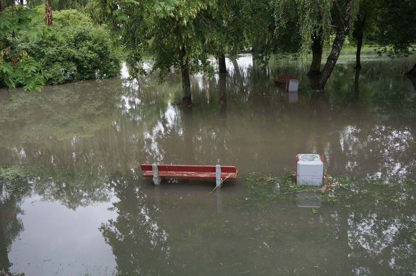 Białystok. Park Antoniuk zmienił się w jezioro (zdjęcia)
