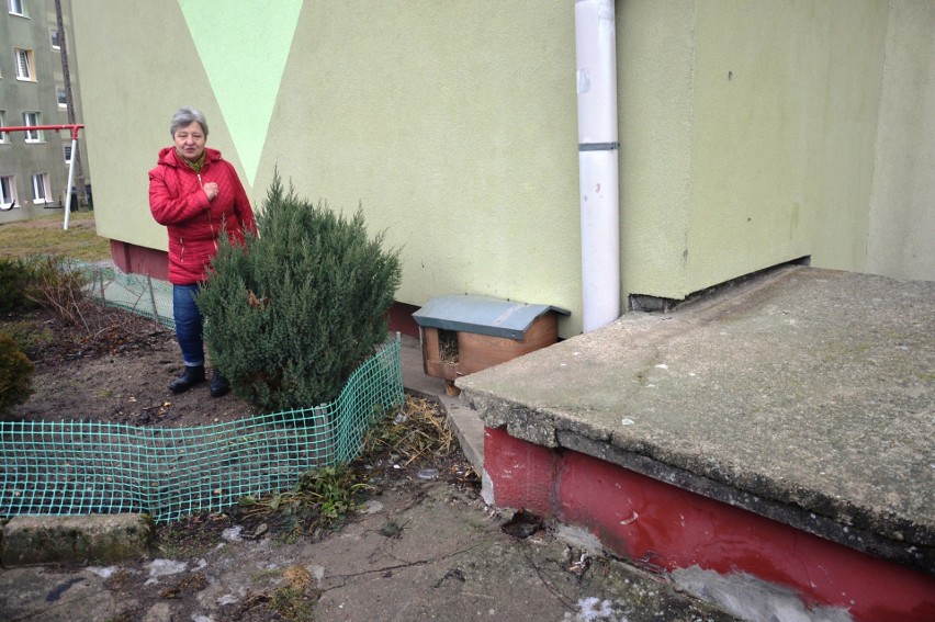 Pani Teresa od lat zajmuje się bezdomnymi zwierzętami.