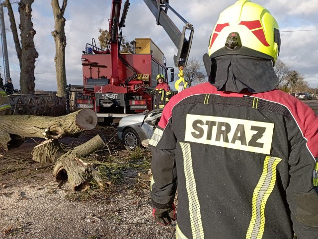 Wiatr porwał drzewa w Borzechowie. Strażacy z OSP Zblewo ruszyli do pomocy