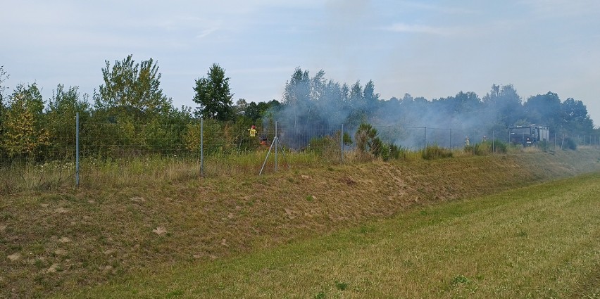 Pożar przy zjeździe z obwodnicy w Redzikowie
