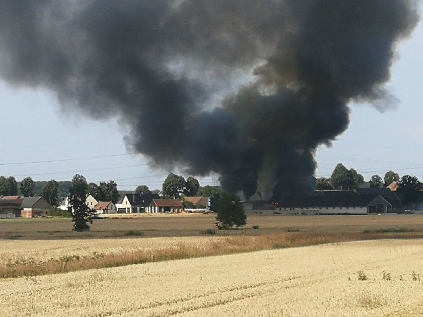 Pożar wybuchł w piątek rano w Chróścinie Opolskiej.