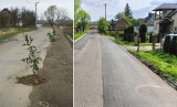 Skuteczny happening grupy mieszkańców Jasła. Sadząc "drzewka" w dziurach przyśpieszyli remont drogi