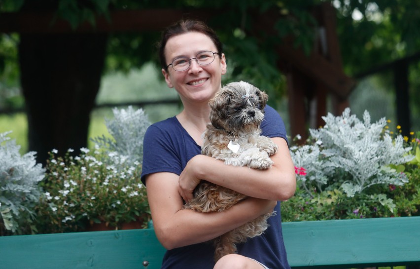 Pieski w schronisku Kundelek w Rzeszowie czekają na adopcje.