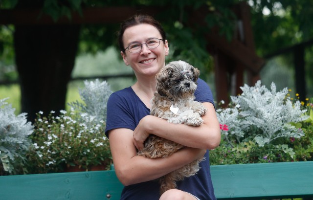 Pieski w schronisku Kundelek w Rzeszowie czekają na adopcje.