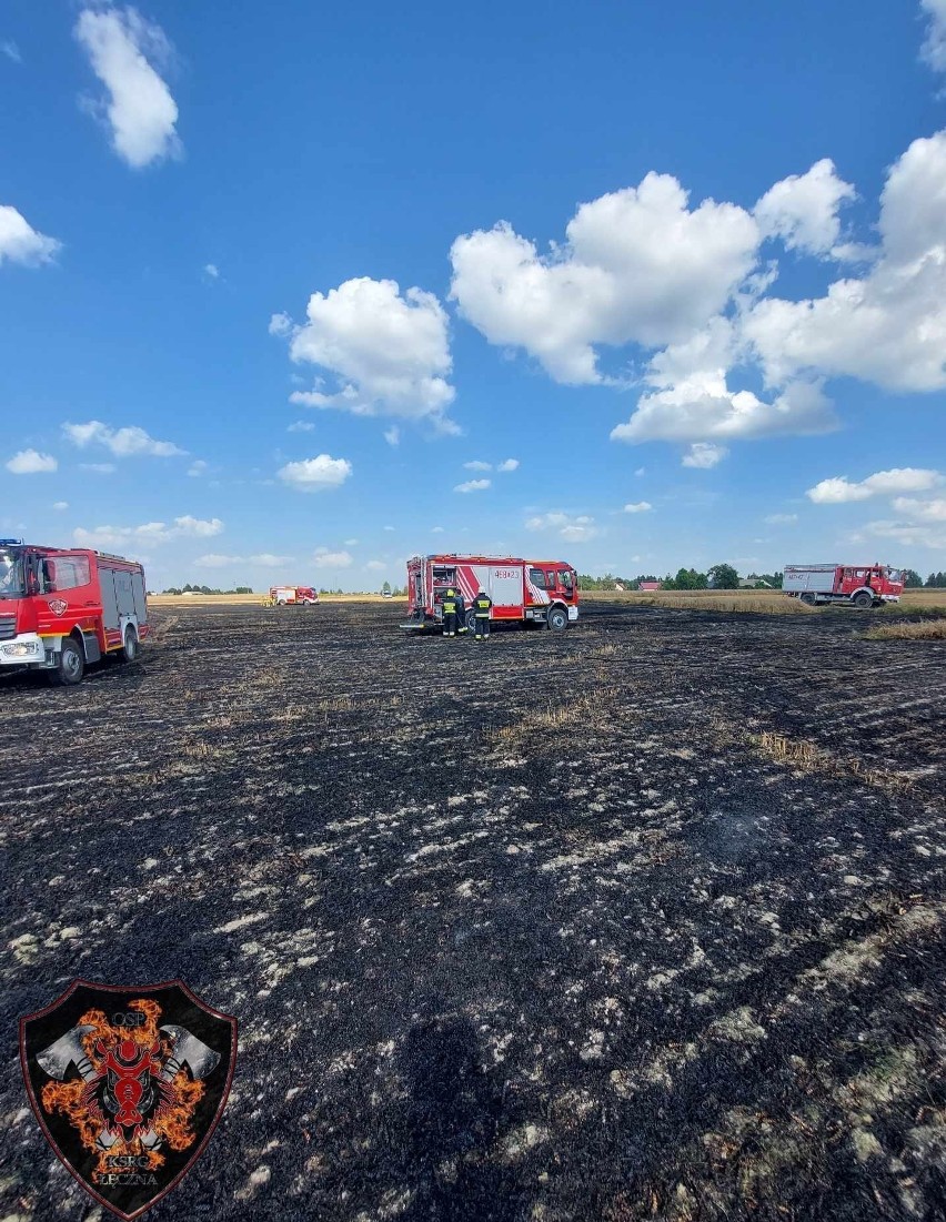 Z pożarem pola i ścierniska walczyło 10 zastępów straży pożarnej