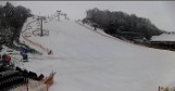 Szwajcaria Bałtowska zaprasza na narty. Warunki są znakomite (ZDJĘCIA)