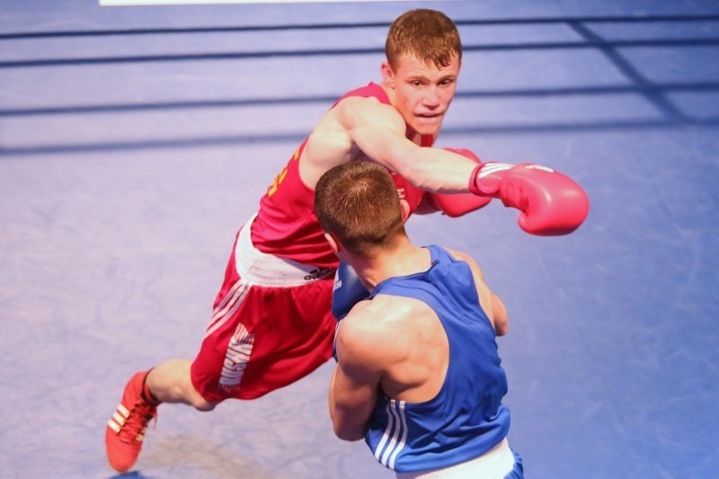 Mistrzostwa Polski seniorów w boksie
