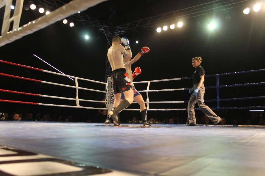 Głogowianie zdominowali Legion Fight Night [Zdjęcia Część 1]