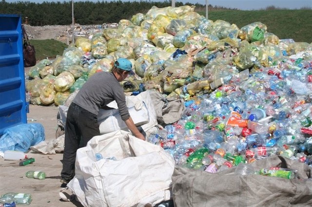Pracownica wysypiska w Lubiejewie segreguje plastikowe butelki