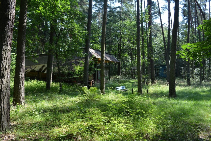 Woszczyce: opuszczony ośrodek wczasowy w środku lasu budzi...