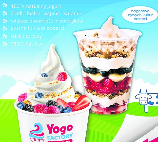 Sieć Yogo Factory oferuje szeroką gamę produktową opartą na unikalnych recepturach