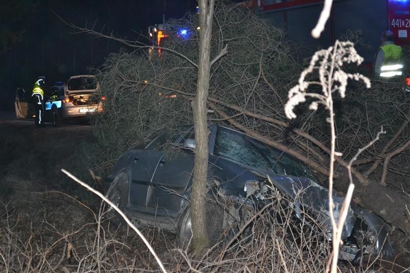 19-latka ranna po uderzeniu auta w drzewo.