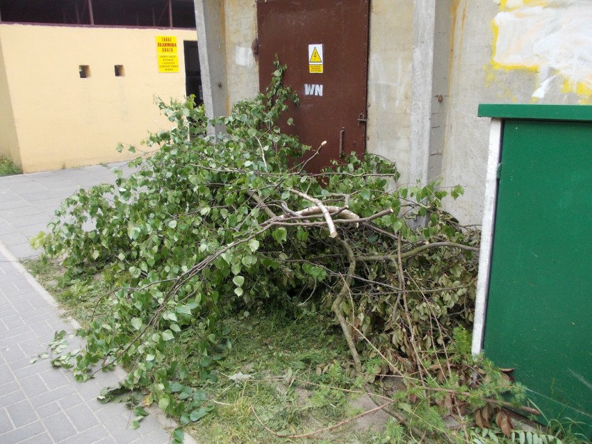 Tak koszą na osiedlu Prędocinek w Radomiu.