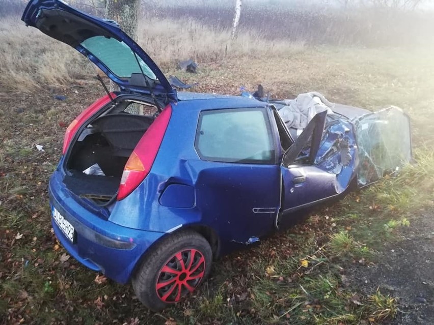 Groźny wypadek. Auto z impetem uderzyło w drzewo (ZDJĘCIA)