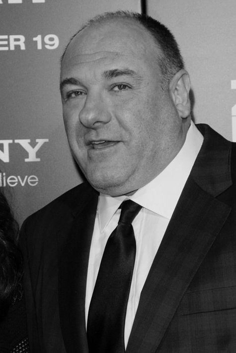 James Gandolfini zmarł nagle podczas wakacji we Włoszech. (fot. PictureLux)