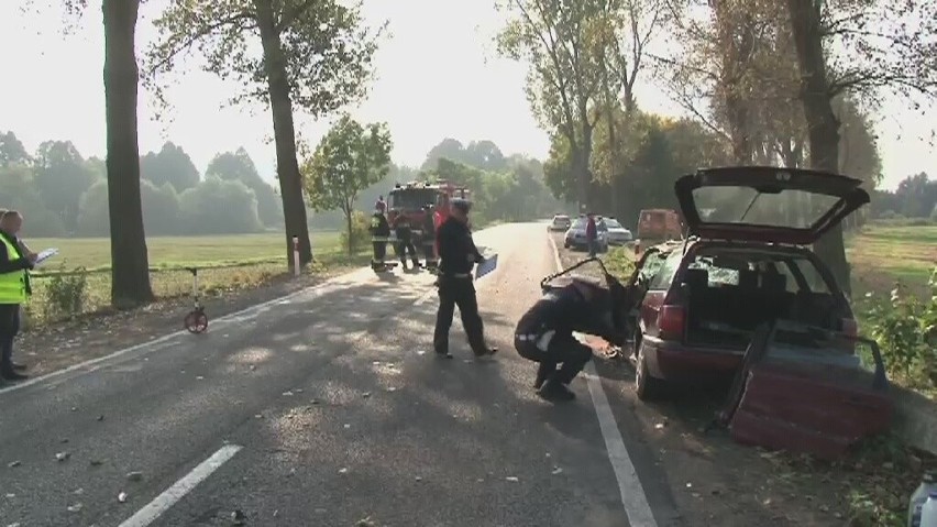 Wypadek w Złotoryi. Zderzenie czołowe. 9 osób rannych (ZDJĘCIA, FILM)