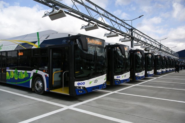 Krakowskie autobusy będą wozić mieszkańców do popularnych terenów rekreacyjnych na obrzeżach miasta, m.in. do puszczy Niepołomickiej