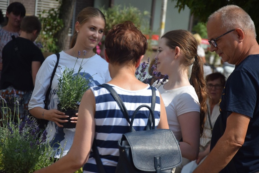 Akcja rozdawania roślin miododajnych za każdym razem cieszy...