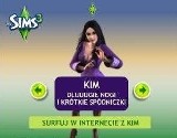 Gra "The Sims" powstała, bo jej twórcy spalił się dom