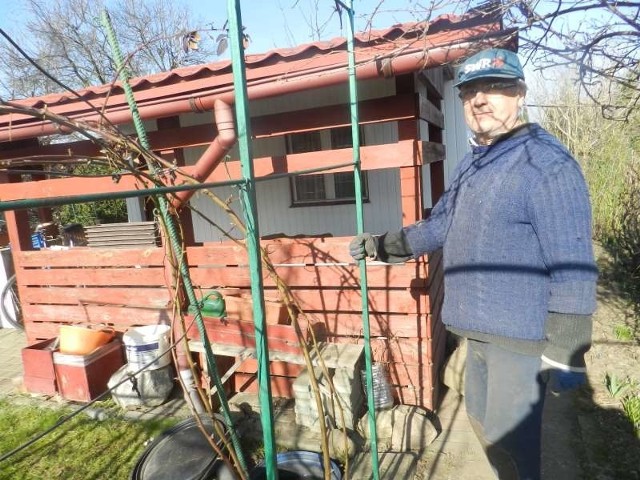 Krystian Cugier z Rodzinnych Ogródków Działkowych "Kolejarz&#8221; w Kędzierzynie-Koźlu cieszy się, że prawo zmieniło się na korzyść ludzi - bo według starego musiałby rozebrać swoją altanę.