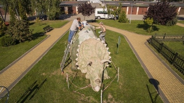 O dinozaury w Połańcu dbają pracownicy Centrum Kultury i Sztuki