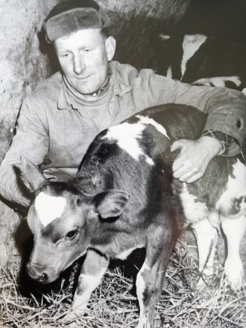 Styczeń 1969 roku. Na zdjęciu pan Walter, przodujący rolnik...