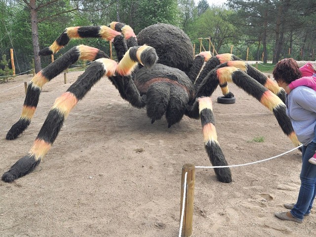 11 lipca SAPiK zaprosi dzieci na wycieczkę do parku wielkich owadów w Lubnicy.