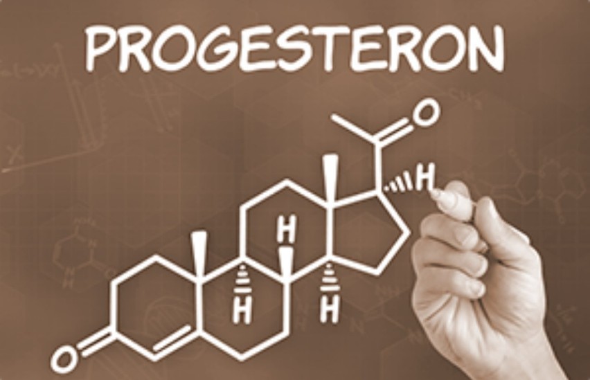 3. Plemniki wabi progesteron....