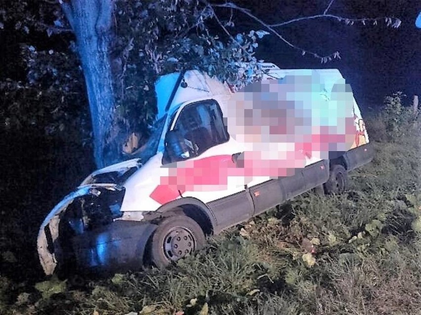 Dostawcze auto marki Iveco uderzyło w przydrożne drzewo w...