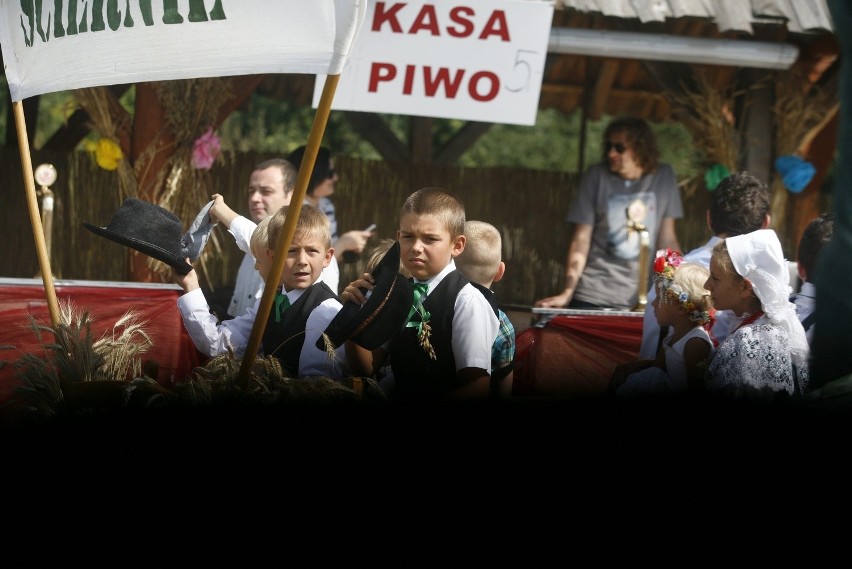 Dożynki województwa śląskiego w Bieruniu [ZDJĘCIA]