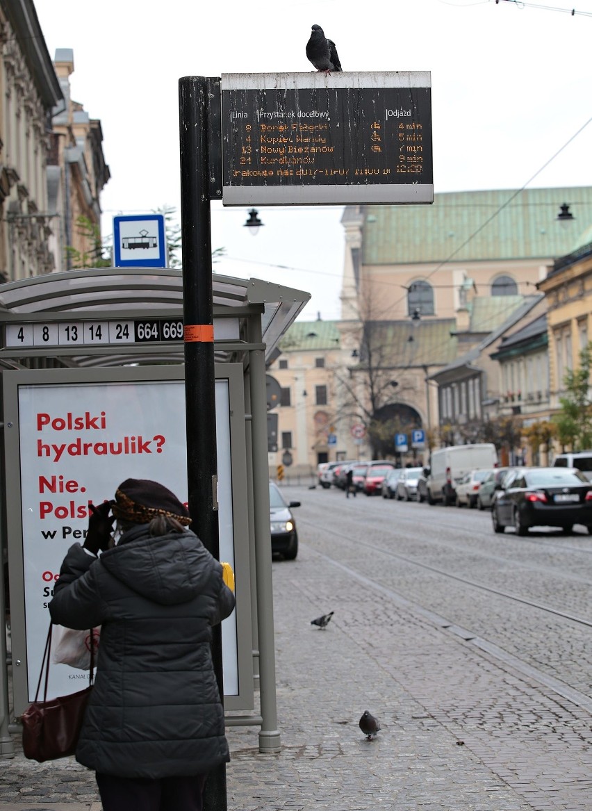 Tablica informacyjna przy przystanku "Teatr Bagatela"