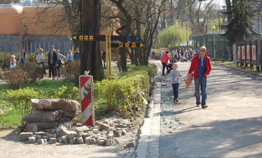 Zoo to wielki plac budowy. Dlaczego więc bilety są tak drogie? (ZDJĘCIA)