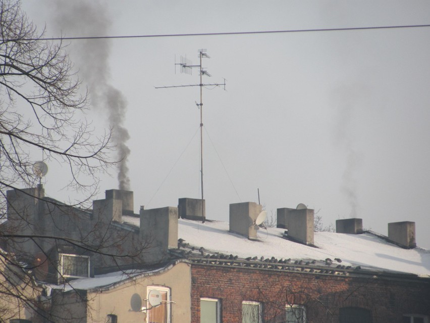 Tak Pabianice walczą o poprawę jakości powietrza w mieście. Jest dron, inwestycje w miejskiej ciepłowni. Co jeszcze?